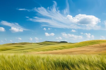 Fototapeta premium A peaceful countryside landscape with gently rolling hills and fields of golden wheat swaying in the breeze under a bright blue sky, Generative AI