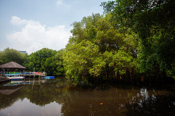 Obraz premium The atmosphere is cool and calming in the Mangrove Nature Tourism Park Area in Muara Angke, Pantai Indah Kapuk, Jakarta. One of the green areas in Jakarta which is also a tourist destination.