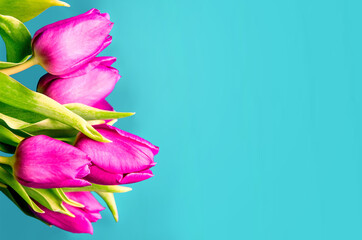 Fresh flower composition, bouquet of bi color tulips