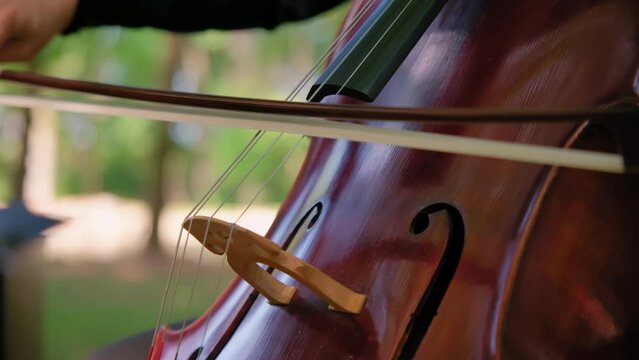 Cellist Playing Cello in Nature, Focus on Hand and Bow