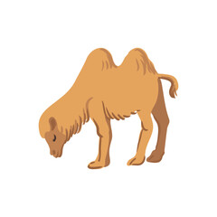 vector drawing Mongolian camel, cartoon animal isolated at white background, hand drawn illustration