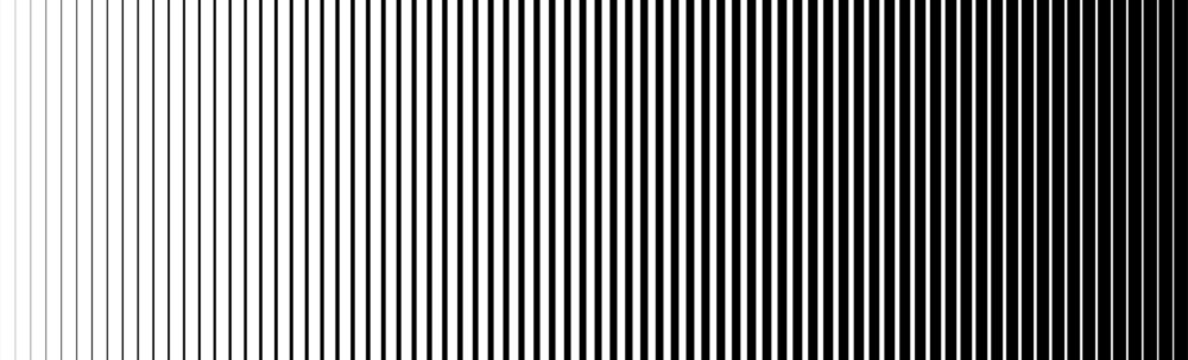 Thin line halftone gradation texture. Faded vertical stripe gradient background. Repeating wide pattern backdrop. Black parallel lines wallpaper for overlay, print, cover, banner, poster. Vector