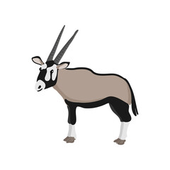 vector drawing gemsbok, South African oryx isolated at white background, hand drawn illustration