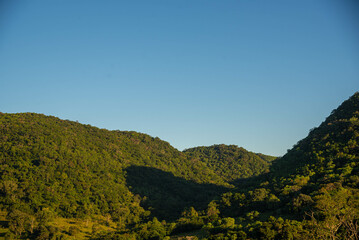 Atlantic forest landscape in Brazil