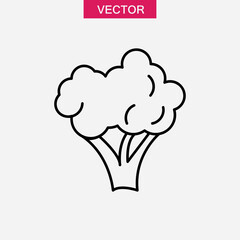 Broccoli line icon, vector flat liner illustration on white background..eps