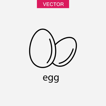egg icon vector, vector flat liner agg illustration on white background..eps