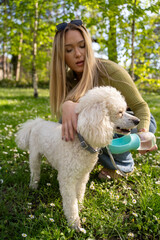 Beautiful young woman giving water to her poodle dog