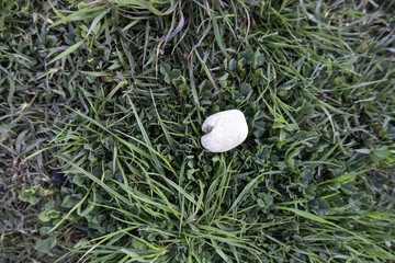 White stone in the grass