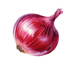 Fresh Red Onion Watercolor Realistic Illustration