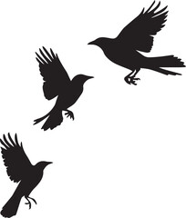 Fototapeta premium silhouette of a birds flying