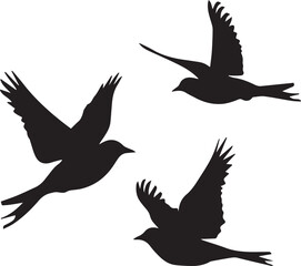 Fototapeta premium silhouettes of birds flying