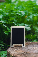Blank Black billboard against green field garden fresh green herb parsley. Empty mockup template Blackboard label at farm land. Copy space banner for your text. Agricultural landscape