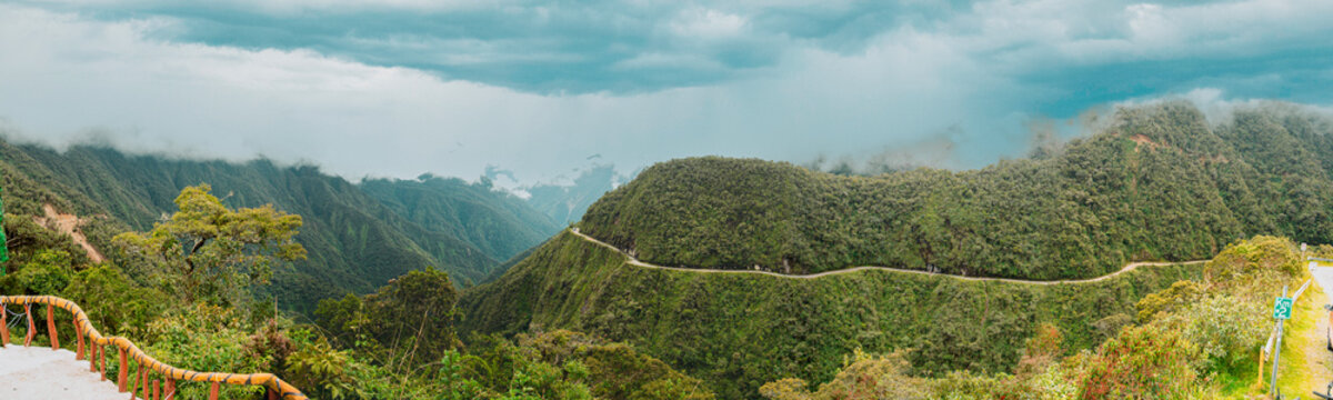 landscape with vegetation, La Ruta de la muerte, Los Yungas, Bolivia