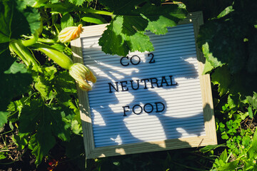 CO2 NEUTRAL FOOD message on background of fresh eco-friendly bio grown green zucchini in garden....