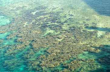 Fototapeta na wymiar Aerial view of coral reef near Honduras in the Caribbean in crystal clear waters
