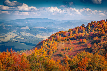 Trees covered with orange and crimson leaves. Colorful autumn view of Borzhava ridge, Ukraine,...