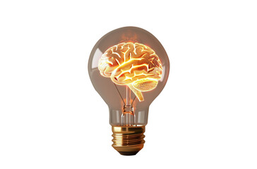 Human brain glowing inside of light bulb, isolated on white background.