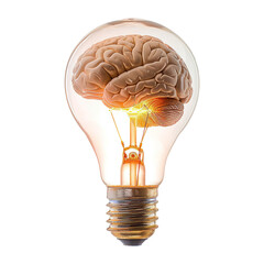 Human brain glowing inside of light bulb, isolated on white background.