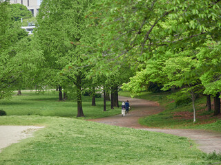 春の公園で散歩する女性の姿と新緑の森の風景