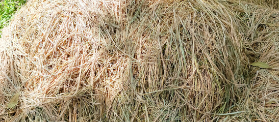 Rice straw