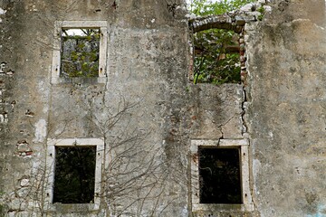 Empty frameless windows of an abandoned ancient house with trees growing inside the house