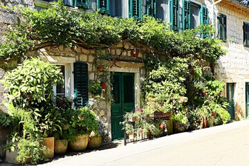 The entrance to an ancient residential building is decorated with lush, abundant vegetation.