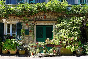 The entrance to an ancient residential building is decorated with lush, abundant vegetation.