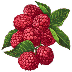 Clipart illustration a lychee on white background. Suitable for crafting and digital design projects.[A-0001]
