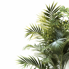 A large green palm tree with long leaves is growing next to a white wall