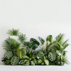 A lush green plant with a variety of leaves and stems