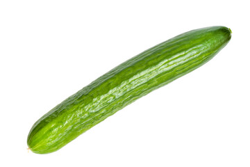 One long greenhouse cucumber isolated on white background. Fresh cucumber close-up.