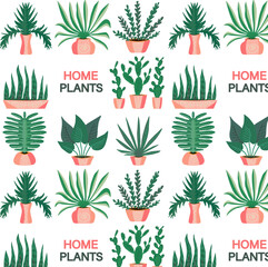 Pattern with house plants in pots. Vector illustration. For print.