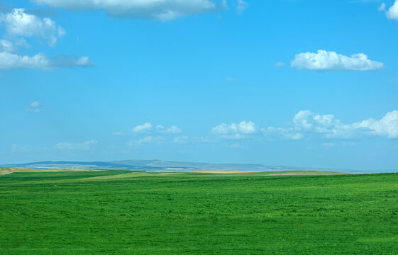 Photo of a wide plain covered with green grass. Mountains are visible on the distant horizon. Cloudy blue sky. Minimalist nature image.