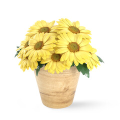 3D Rendering Yellow Gerbera Flowers isolated on transparent background, PNG file add