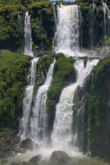 waterfall in the forest