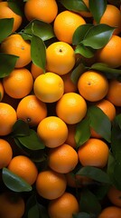 Tangerines background HD with leaves, fresh, banner with copy space, healthy lifestyle