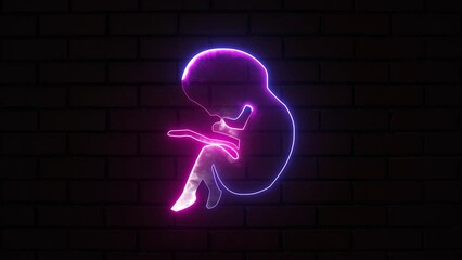 Glowing neon prenatal human child with placenta silhouette isolated on brick wall. Human foetus