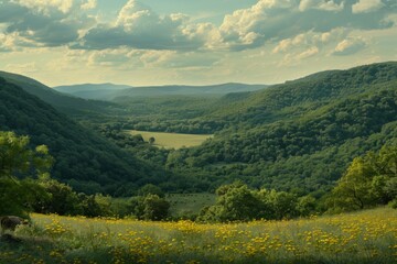 Naklejka premium Cow goat pasture in a field ecological local farm no cruelty animal safety happiness herd flock milk eco environment sustainability humanity agriculture green forest meadows mountains grass land