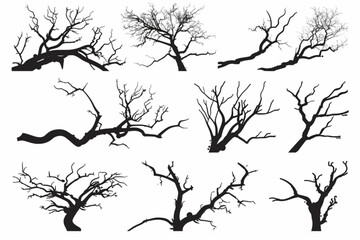 various tree branch silhouette collection vector icon, white background, black colour icon