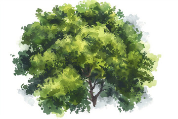 Vector tree top watercolor hand drawn view isolated on white background for landscape plan and architecture layout drawing, elements for environment and garden vector icon, white background, black col - obrazy, fototapety, plakaty