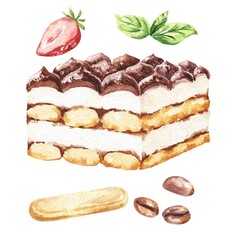Tiramisu slice cake Italian dessert food illustration 