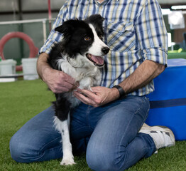 dog getting leg adjusted by chiropractor