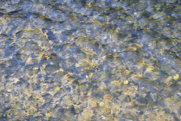 京都　白川　透明で美しい清流　コピースペースあり　背景素材（日本、京都府、京都市）
Kyoto Shirakawa Transparent and beautiful clear stream Copy space available Background material (Japan, Kyoto Prefecture, Kyoto City)
