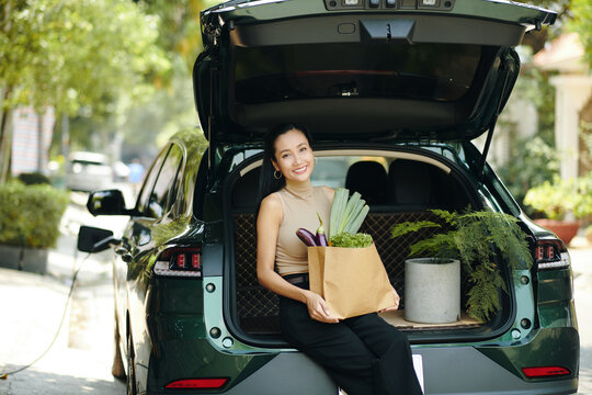 Happy Vietnamese woman with bag of groceries and potted flower sitting in car trunk