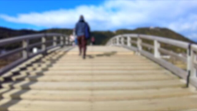 ぼかし背景素材: 山口県岩国市の錦帯橋を渡りながら移動撮影  4K