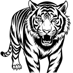 tiger illustration