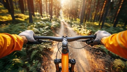 Cyclist riding in lush forest trail, close up view with expansive green trees panorama