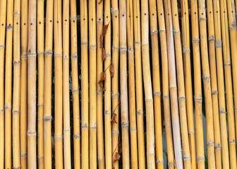 Dry bamboo fence as an abstract background. Texture