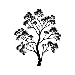 Fototapeta premium Black Vector Alder Tree Silhouette Against the Sky's Canvas, Nature's Artistry Unveiled- Alder Tree Illustration- Alder Tree vector stock.