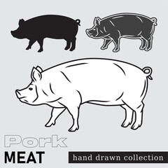 Farm pig drawing. Pork Meat illustration. Line art pig vector.